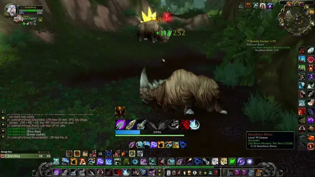 Rhino Mastery: The Test